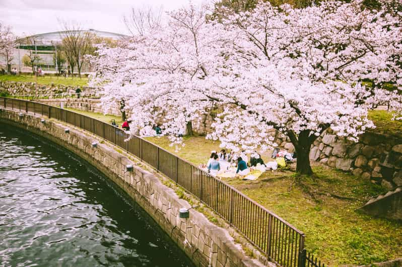 Osaka: Daytime Cherry Blossom and Food Tour | GetYourGuide