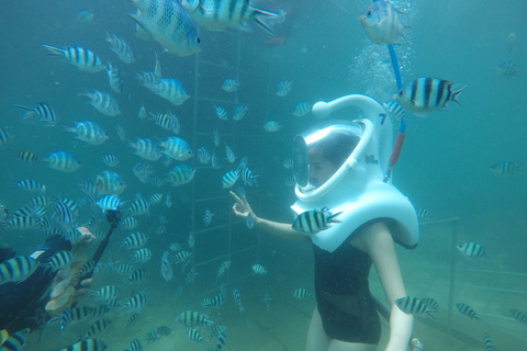 Cham Island: Underwater Walking & Snorkeling Tour Private Pick-up and Drop off at Da Nang Hotel