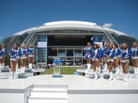 Dallas, VIP Guided Cowboys Stadium Tour et City Sightseeing - Housity
