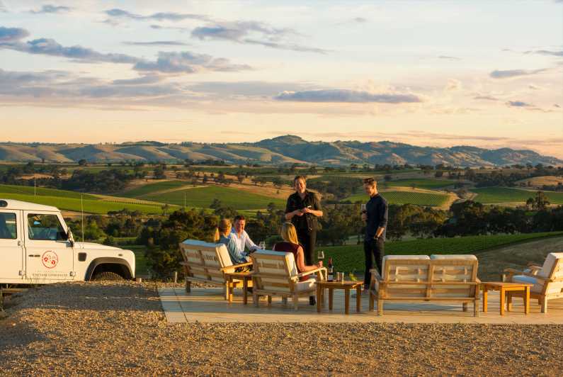 Barossa Valley: Two Hands 1.5-Hour Vineyard Tour