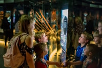 The Mary Rose, Day Admission Ticket - Housity
