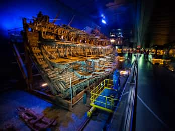 La Mary Rose: Biglietto d'ingresso giornaliero