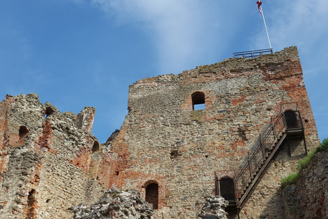 Från Riga: Rundale Palace &amp; Bauska Castle Tour till VilniusGuidad privat rundtur