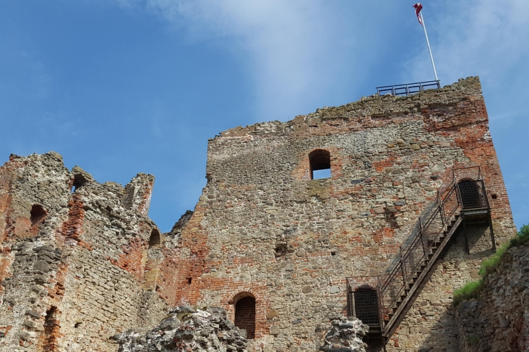 Desde Vilna: tour del palacio de Rundale y el castillo de Bauska a RigaTour privado guiado
