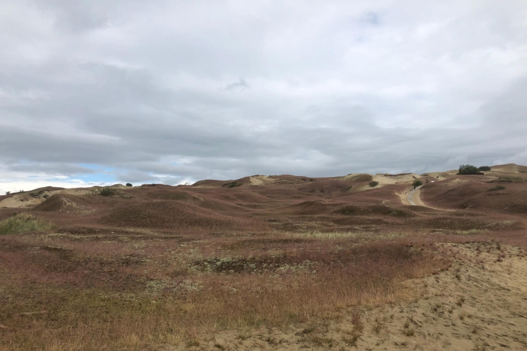From Vilnius: Day Trip to Curonian Spit National Park