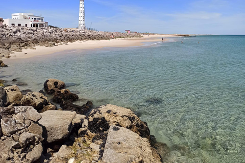 Faro: Ria Formosa Faro Islands Boat Tour