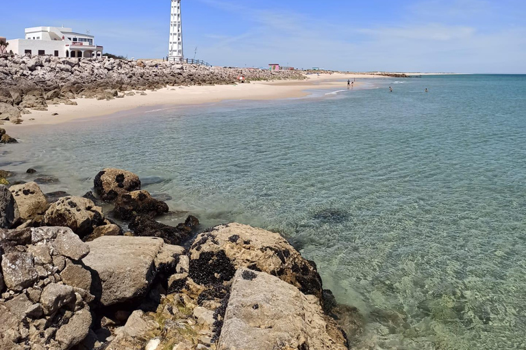 Faro: Ria Formosa Faro Islands Boat Tour