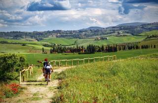 Aus San Gimignano: Chianti mit dem E-Bike mit Weinprobe