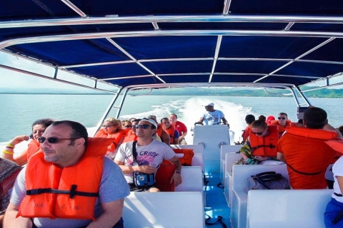 Depuis Punta Cana : excursion d'une journée en bus et bateau