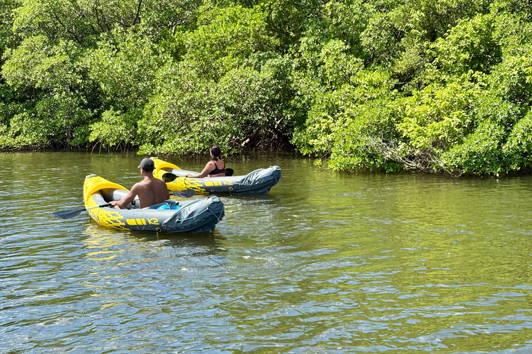 Fort Lauderdale: Kayak & Paddleboard Mangroves Eco Adventure