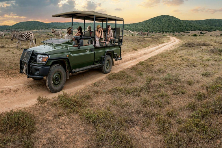 Uganda: Safari di 10 giorni da Entebbe alle Cascate Murchison