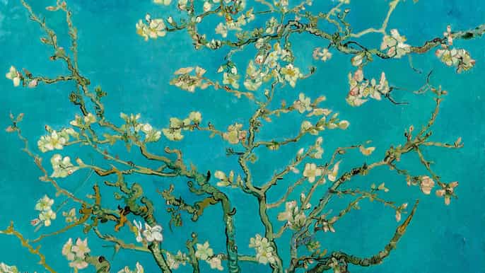 amsterdam van gogh museum ticket and city canal cruise