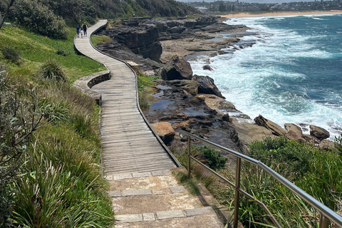 Sydney: Northern Beaches Walk with Lunch at Felons Manly