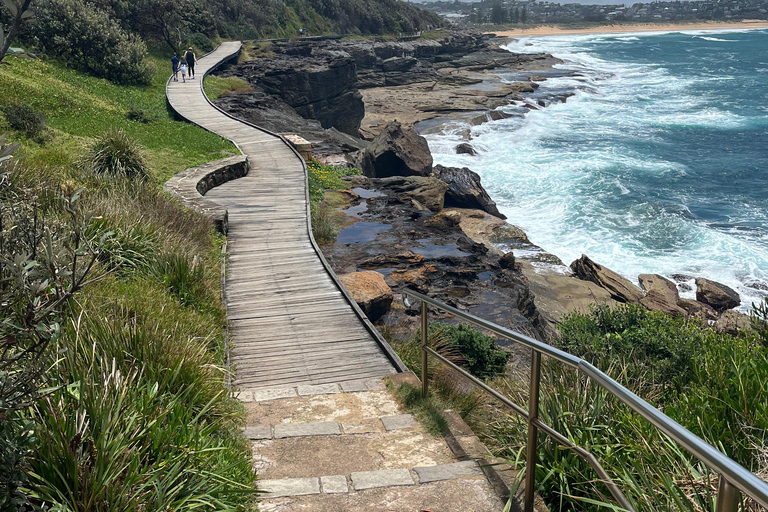Sydney: Northern Beaches Walk with Lunch at Felons Manly