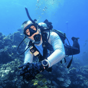 Port Douglas: Premium Outer Reef Dive Trip
