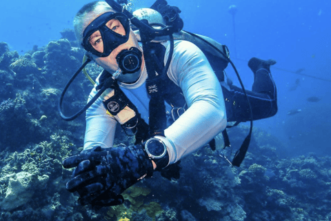 Port Douglas: Premium Outer Reef Dive Trip