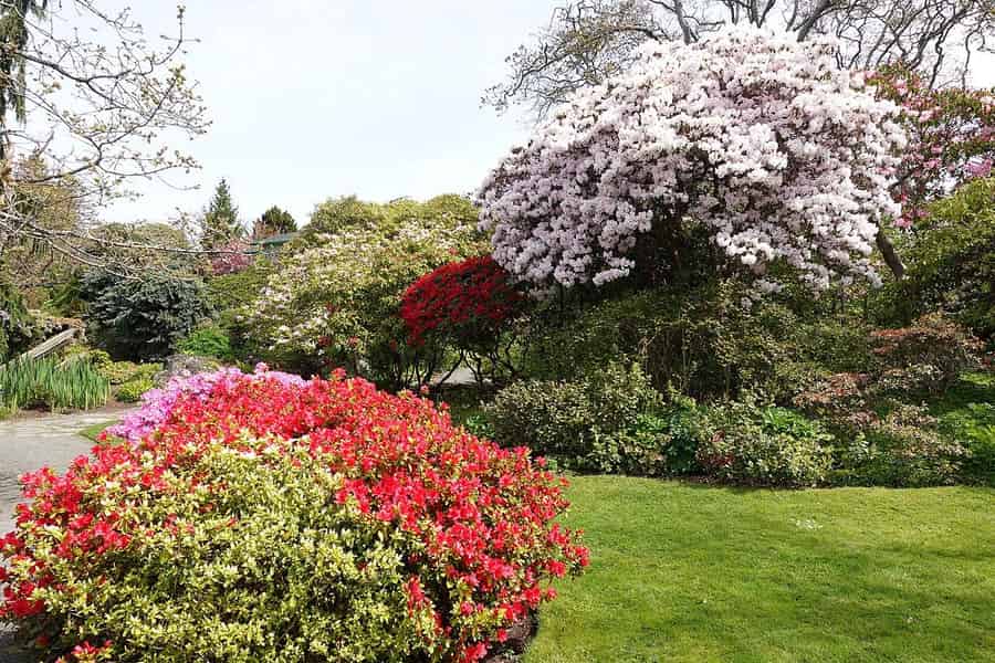 Victoria: E-Bike-Tour durch den Stadtgarten mit Eintrittskarten. Foto: GetYourGuide