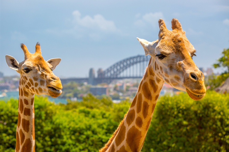 Taronga Zoo Aussie Backyard Adventure
