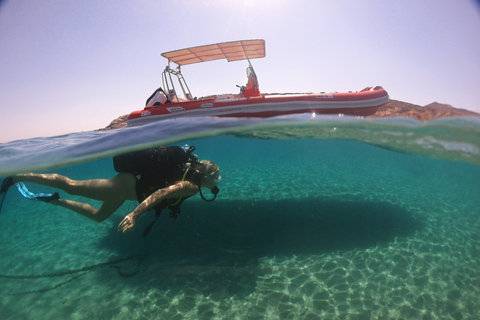 Mikonos: curso de submarinismo para principiantes de 2 horasMykonos: Mini Programa de Buceo para Principiantes