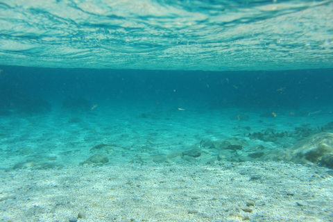 Mykonos : Mini programme de plongée sous-marine pour les débutants