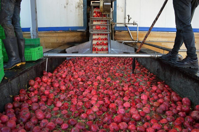 Bakú: tour de 2 días por 3 bodegas con estadía en casa de huéspedes y comidas