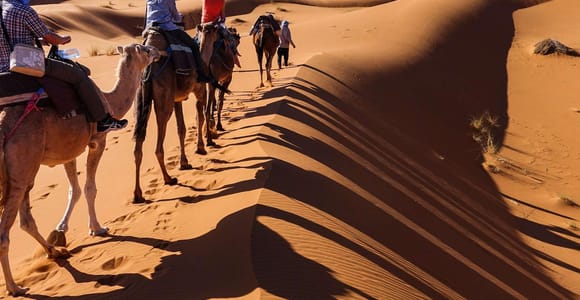 2-Day Sahara Stars: Ruins, Dunes & Oases (Hammamet/Sousse)