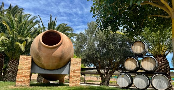 Alicante: Wine Route with Tastings and Aperitifs - Small Group Experience