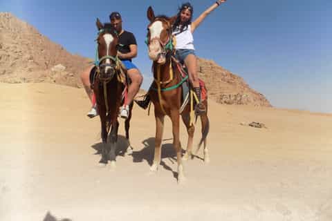 Horse Ride in Sharm El Sheikh Desert: Day Trip