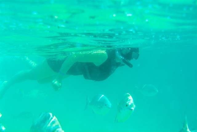 Visit Half Day Guided Snorkel Tour in Los Cabos in Xishuangbanna