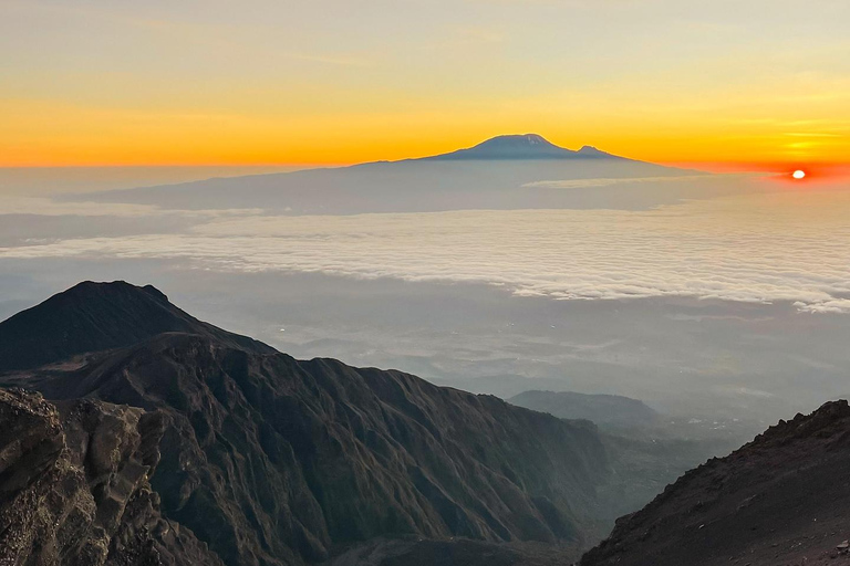 Kilimanjaro: Rongai Route 6-Day Hiking Adventure