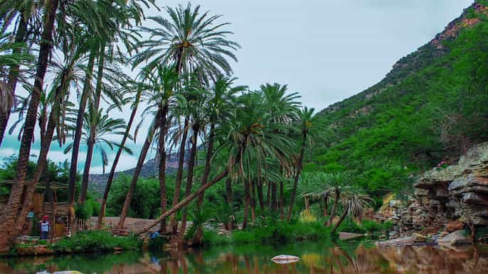 agadir paradise valley halfday guided trip