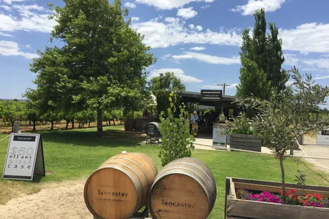Swan Valley: tour de vino de día completo con almuerzo