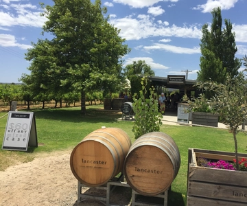 Swan Valley: Full-Day Wine Tour with Lunch