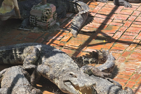 Siem Reap Crocodile Farm Tour With Tuk Tuk Transfer