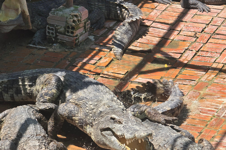 Siem Reap Crocodile Farm Tour With Tuk Tuk Transfer