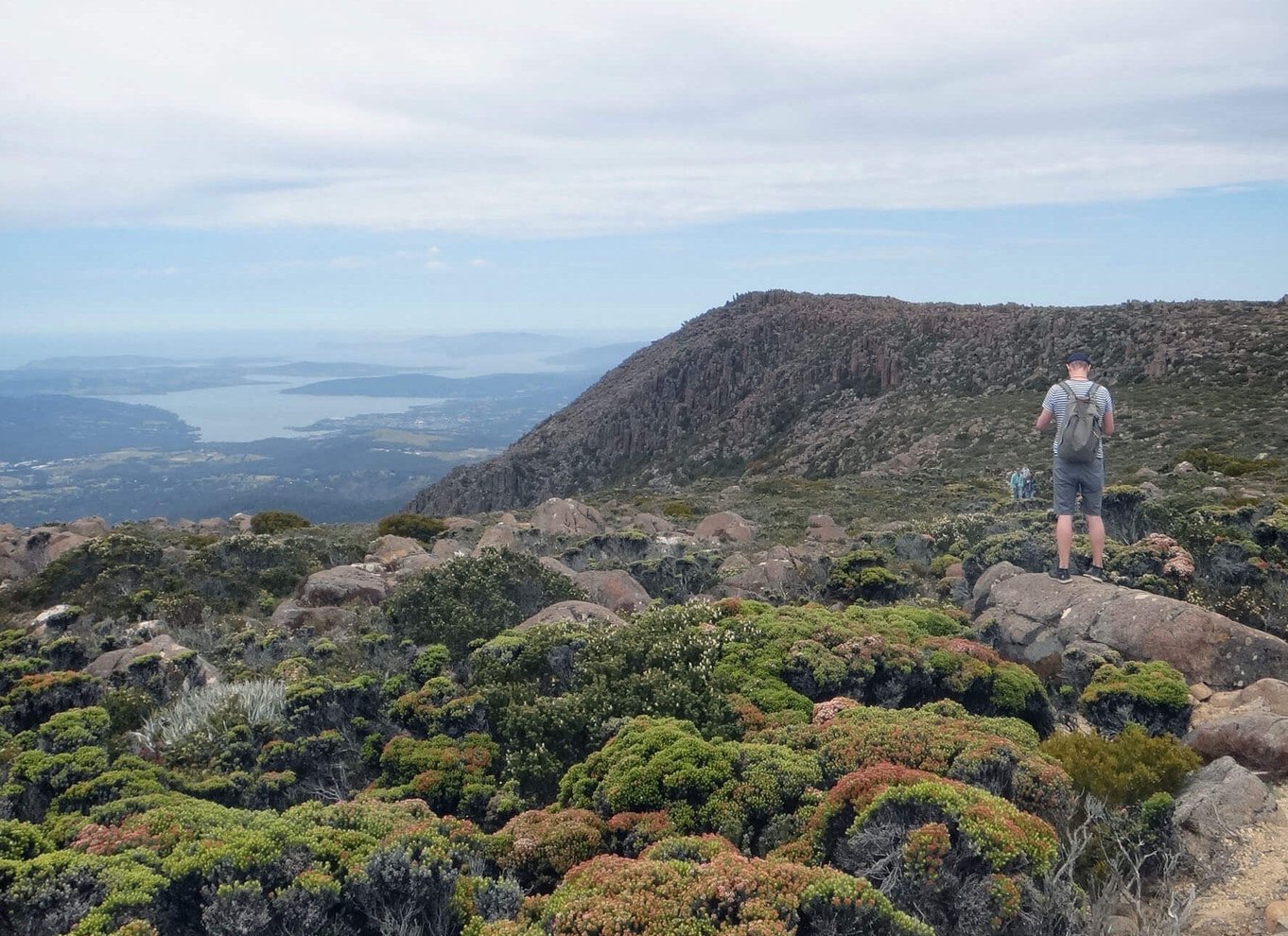 Hobart: kunanyi/Mt Wellington Explorer Bus Pass