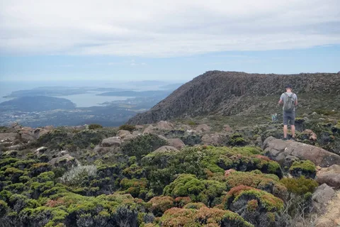Kunanyi & Mt Wellington Explorer Bus : Carte de bus aller simple