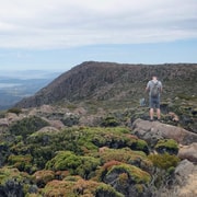 Kunanyi & Mt Wellington Explorer Bus: One-Way Bus Pass