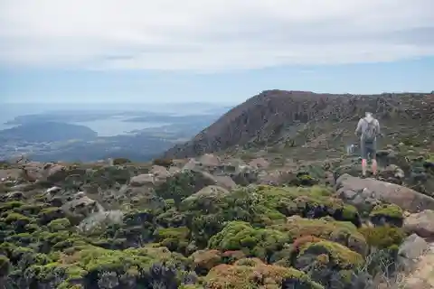 Kunanyi & Mt Wellington Explorer Bus: One-Way Bus Pass
