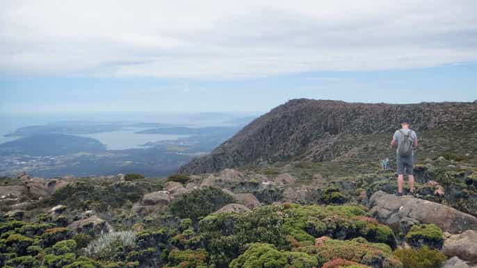 kunanyi mt wellington explorer bus oneway bus pass