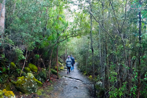 48-timmars rundtur i Hobart City Loop och Mt Wellington