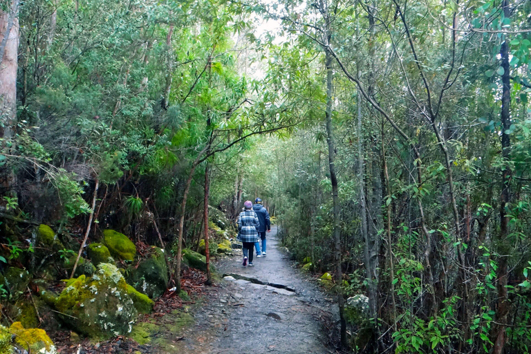 48-uur durende Hobart City Loop Tour en Mt Wellington48 uur Hobart City Loop Tour en Mt Wellington