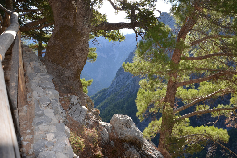 Gorge de Samariá : excursion d’une journée depuis La Canée