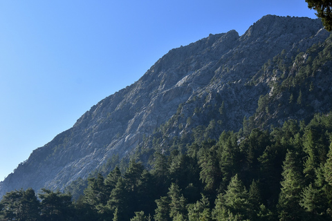 Samariá Gorge Hike: Day Excursion from Chania