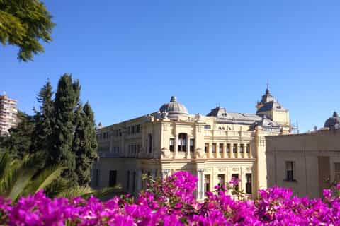 Full-Day Small Group Malaga Tapas & Picasso Museum