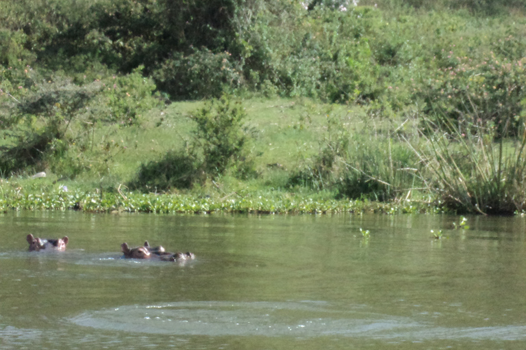 Excursão de um dia a Nairóbi e ao Lago Naivasha com Crescent Island