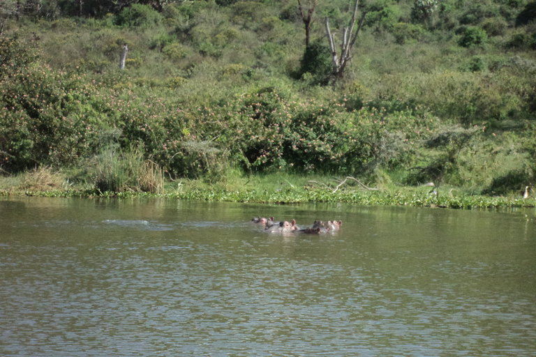 Excursão de um dia a Nairóbi e ao Lago Naivasha com Crescent Island