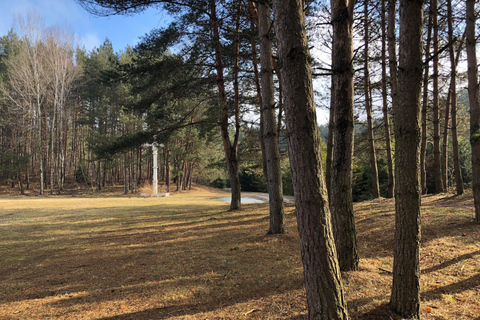 The Hill of Crosses: Full-Day Tour from Vilnius The Hill of Crosses: Private Full-Day Tour from Vilnius