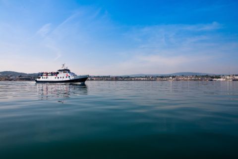 Dublin Bay: Cruise from the City Centre to Dun Laoghaire