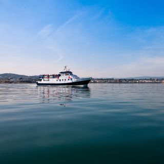Dublin Bay: Cruise from the City Centre to Dun Laoghaire